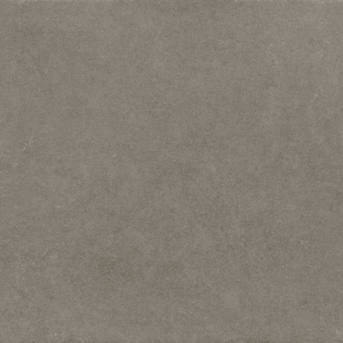 image_not_found