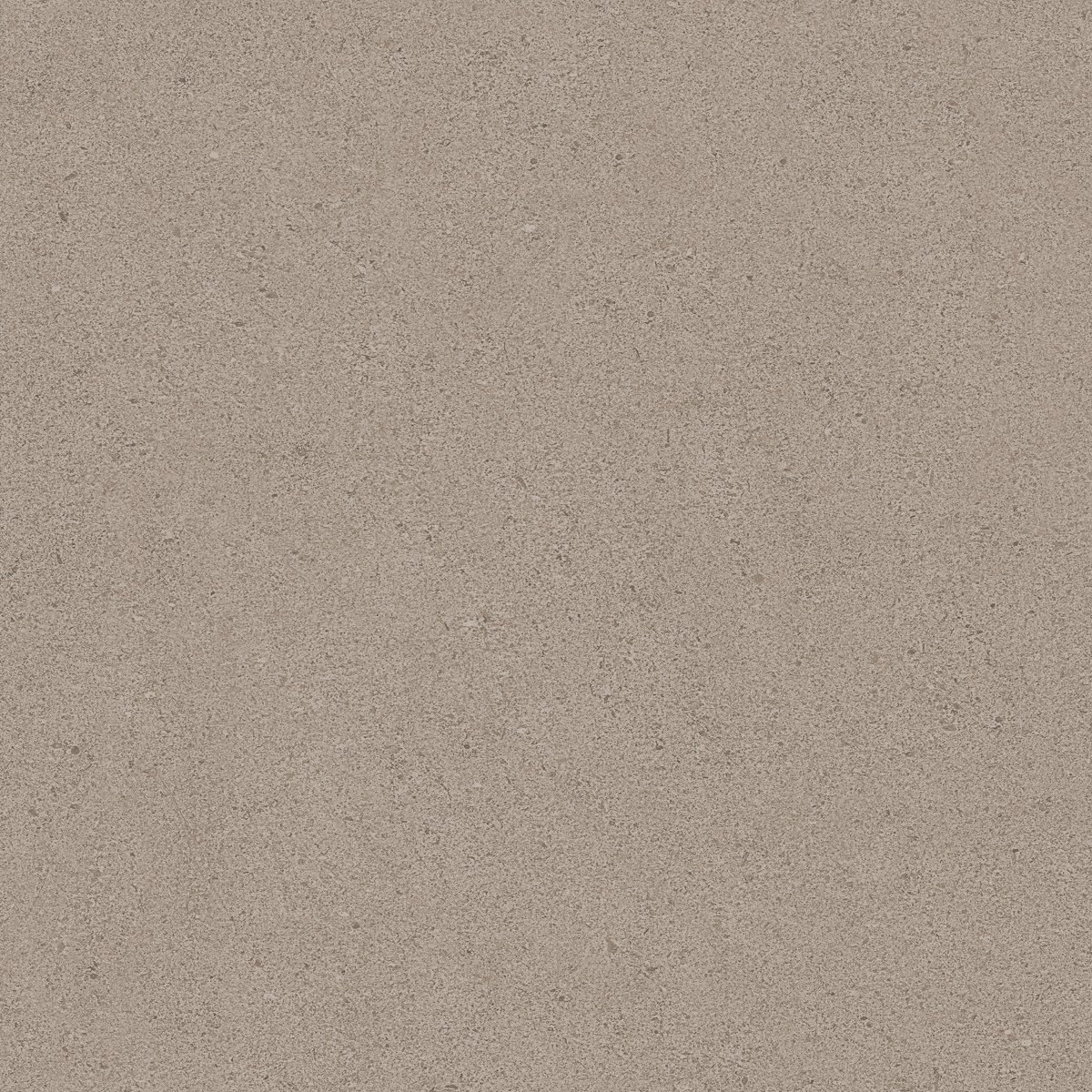 image_not_found